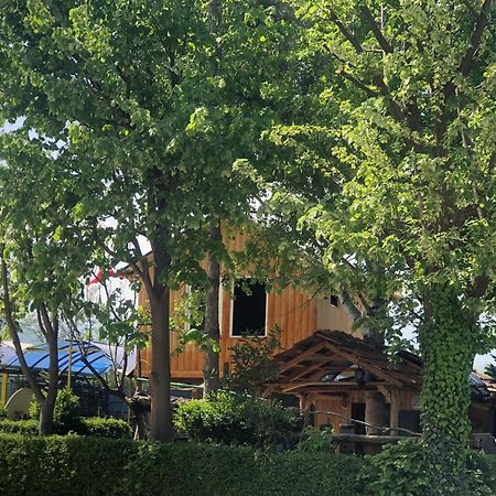 Bujtina Gashi Guest House Kukes Eksteriør billede